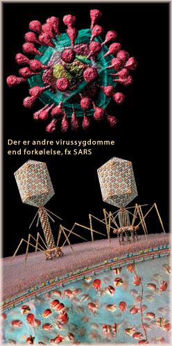 Der er andre virussygdomme end forkølelse, fx SARS